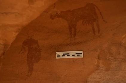 Раніше Сахара була «зеленим раєм»: знайдені у пустелі наскельні малюнки багато чого пояснюють