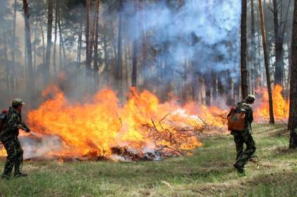 На Вінниччині попередили про надзвичайний рівень пожежної небезпеки: подробиці